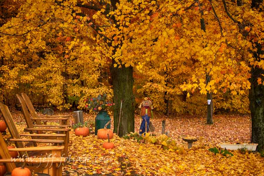 Late versus early fall color, does it matter? - New England fall foliage